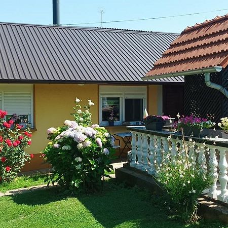 Dobrodosli Διαμέρισμα Mursko Sredisce Εξωτερικό φωτογραφία